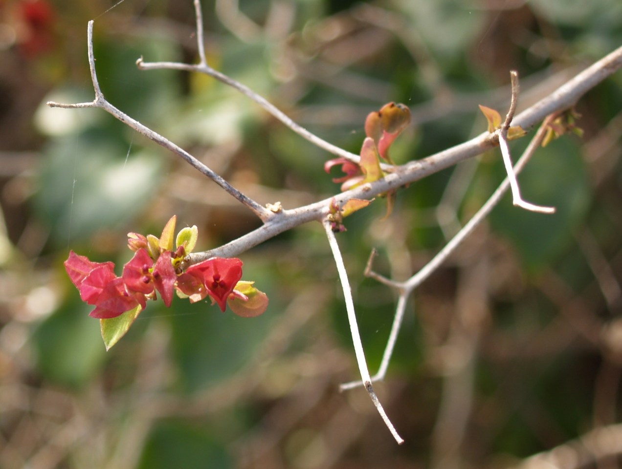 Who is serving Whom?